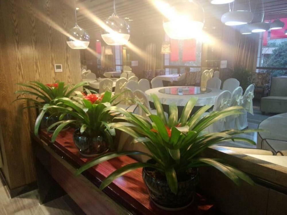 CTU Chengdu Hello Hotel المظهر الخارجي الصورة